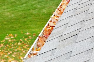 Gutter cleaning products for roof