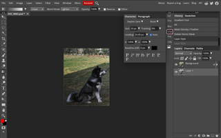 The best online photo editor: Photopea