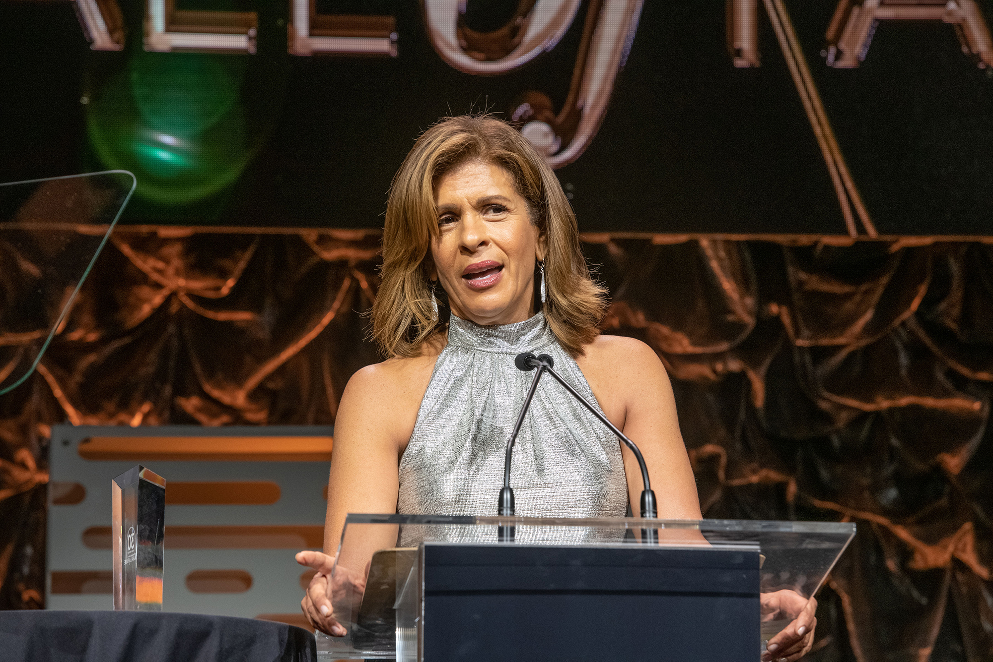 Hoda Kotb, co-anchor of 'Today'