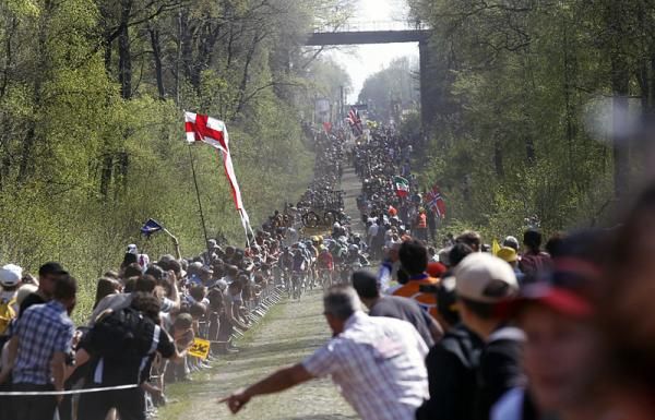 Spectators in the Arenberg Forest try to catch a glimpse of the oncoming riders.