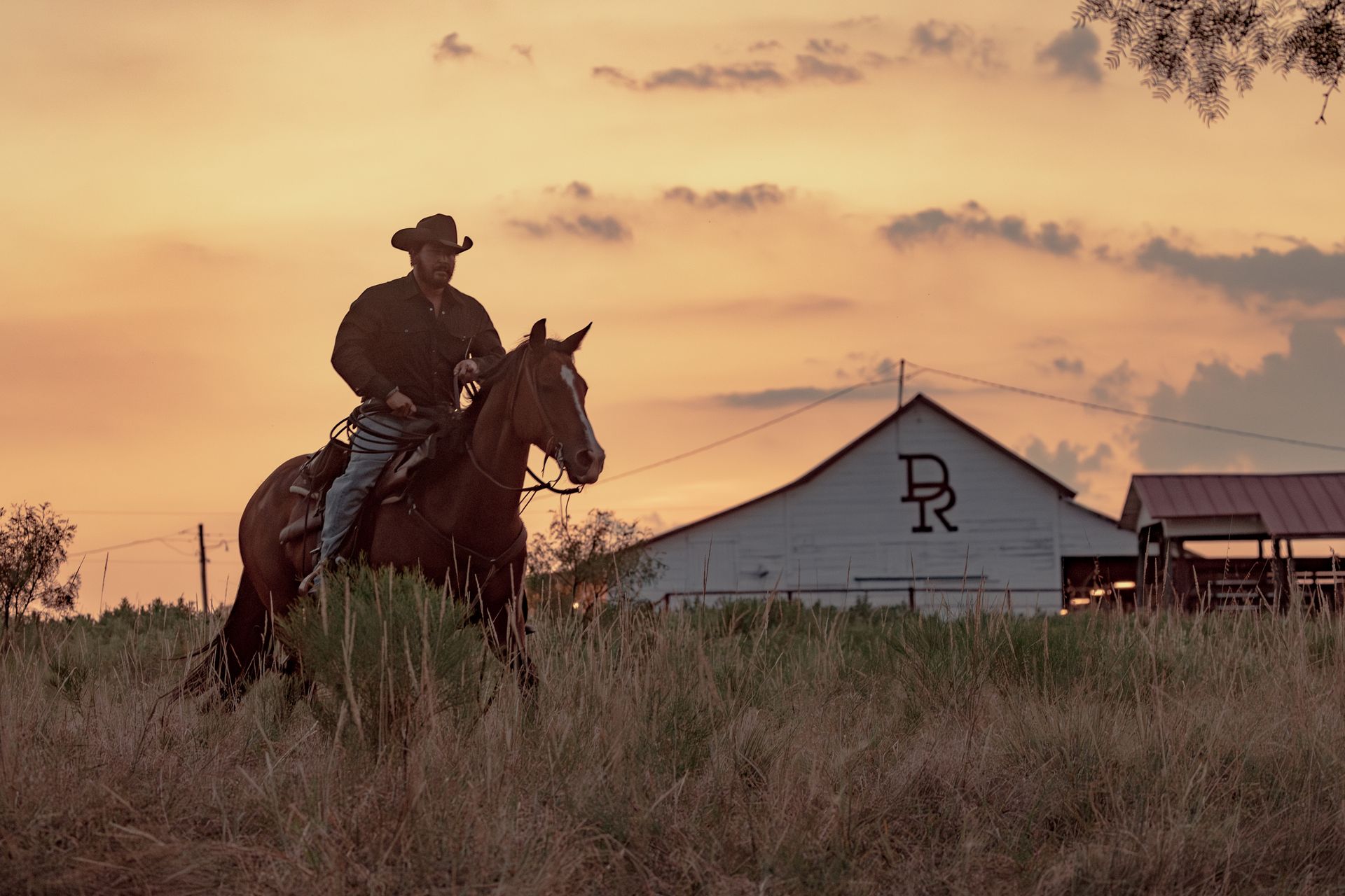 Exclusive: Dutton Ranch's Cole Hauser talks Rip Wheeler’s return ...