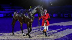 HorseNo1015_HOYS_PN22_54515.jpg
