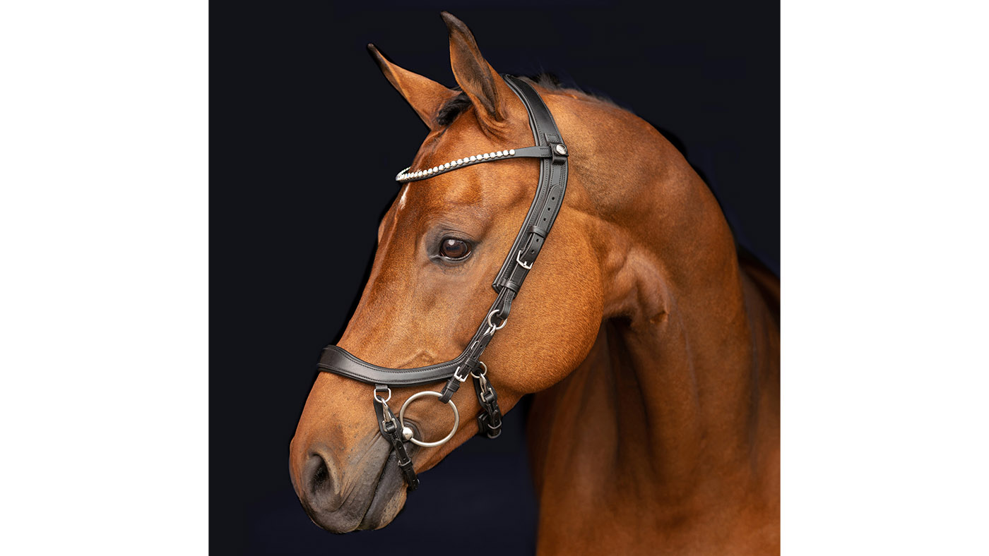 PresTeq FaySport bridle