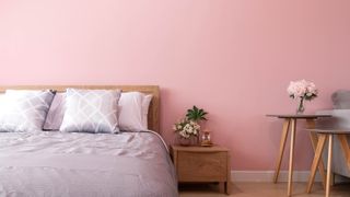 Blush pink wall in bedroom