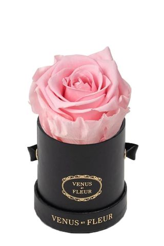Venus Et Fleur flower box