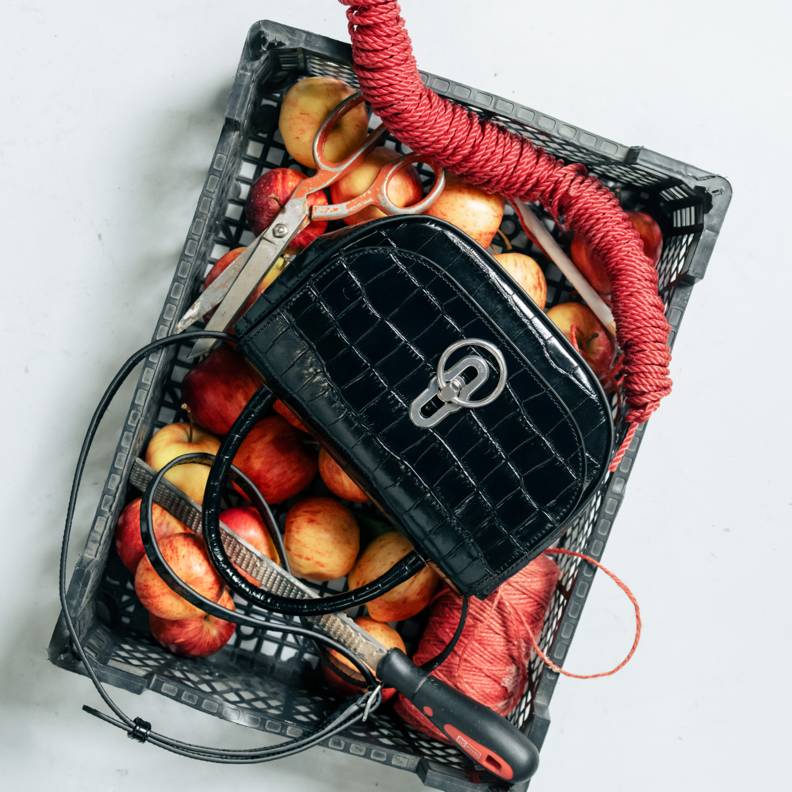 Mulberry handbags campaign imagery