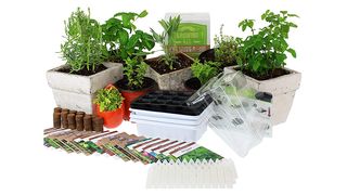 Mountain Valley Seed Medicinal & Herbal Tea indoor herb garden starter kit