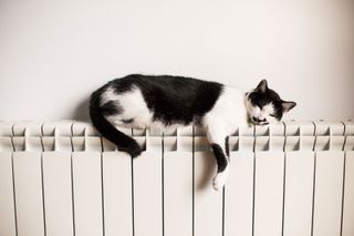 Central heating costs per hour: A black and white cat laying on a white radiator