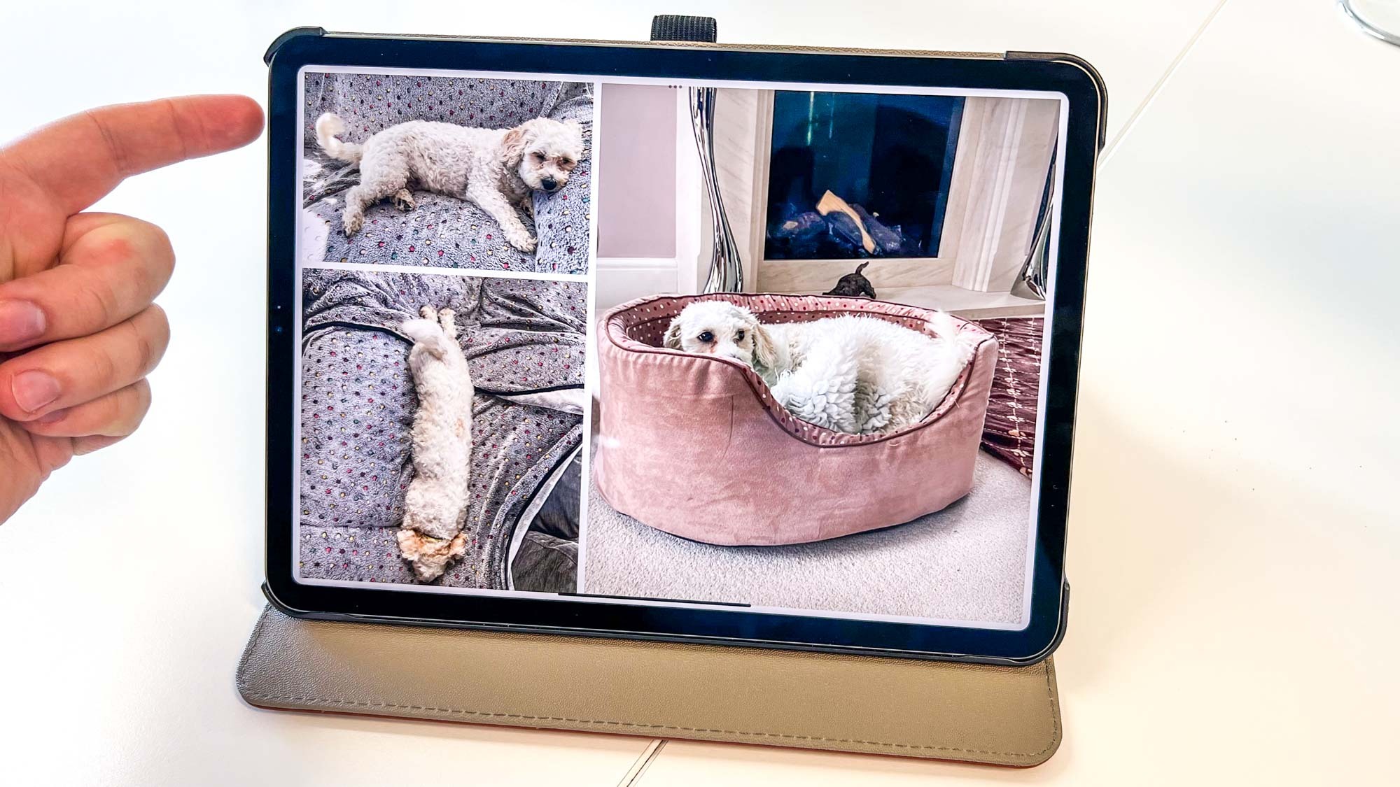 An iPad acting as a digital photo frame