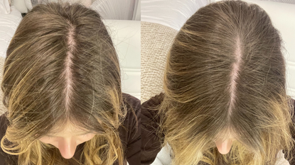 Living Proof Perfect Hair Day Dry Shampoo Review Marie Claire