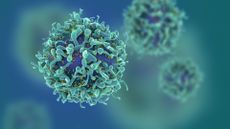 a digital illustration of three T cells, immune cells depicted in light green and blue