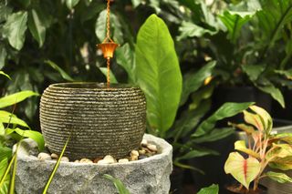 A tropical garden with a small Zen-like fountain