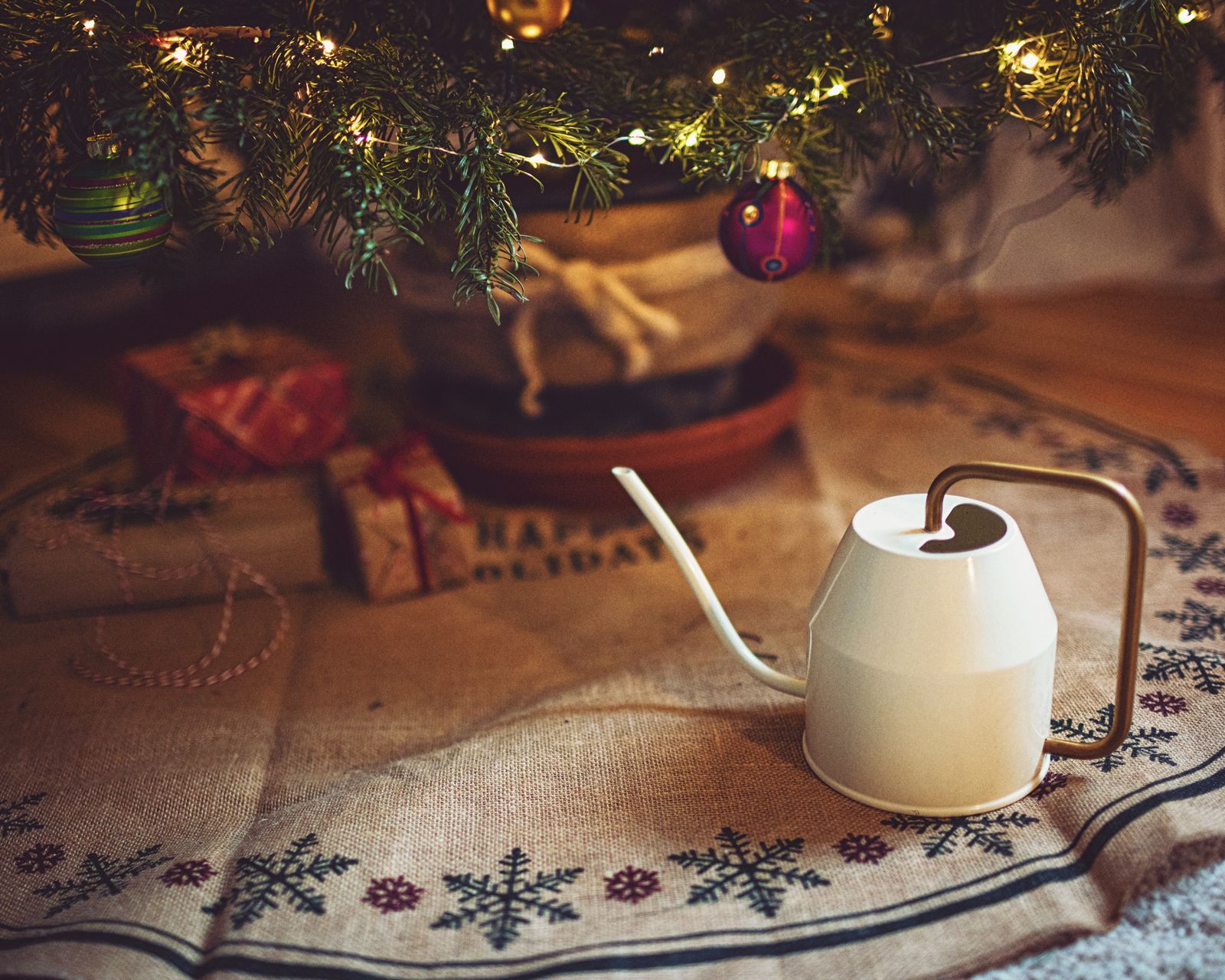 How to keep a Christmas tree alive Real Homes
