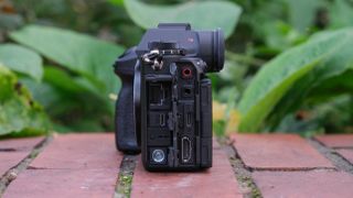 View of the ports of a Sony A1 II camera sat on a brick wall in front of some green plants