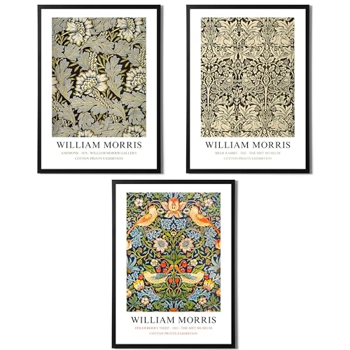 State Media Vision William Morris Set of 3 Art Prints - Anemone, Strawberry Thief, Brer Rabbit - Famous Artist Pictures Available in a Variety of Sizes (set 4, A4 Print Only)