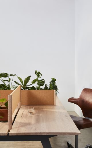 Wooden desk by Benchmark with plants