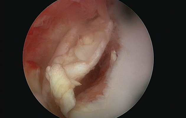 VET-14-JANUARYFigure-3b.jpg