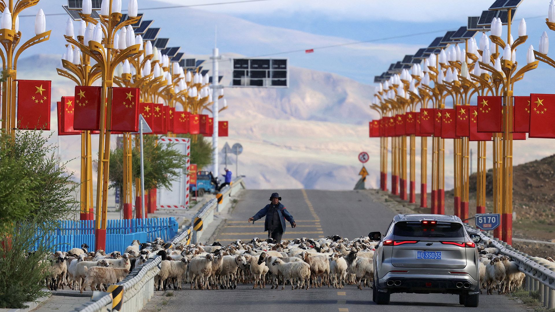 
                                A shepherd guides his sheep along an alpine road near Shigatse in the Tibet Autonomous Region, China
                            