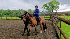 Pictured a person having a riding lesson at a riding school.