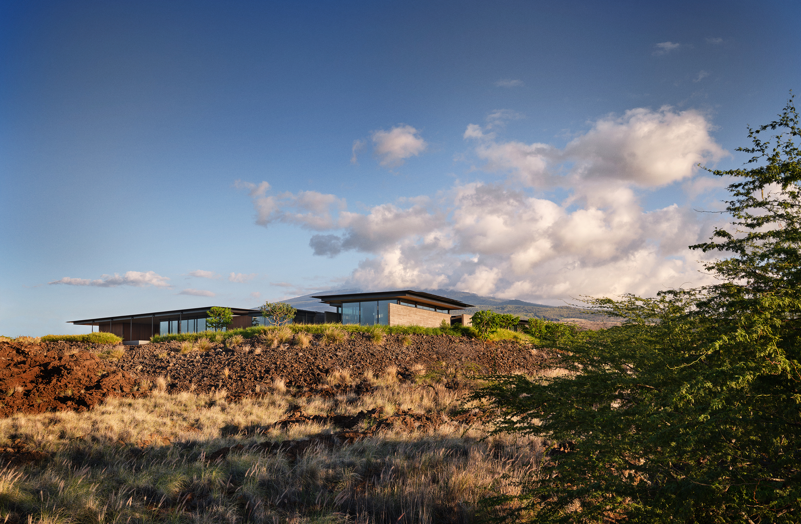 Hawaii house by oslon kundig and leverone design by the sea, tall ceilings, contemporary spaces and art work, and lots of glazing
