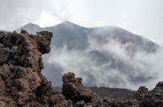 Etna volcano, Sicily, volcanic rock in foreground