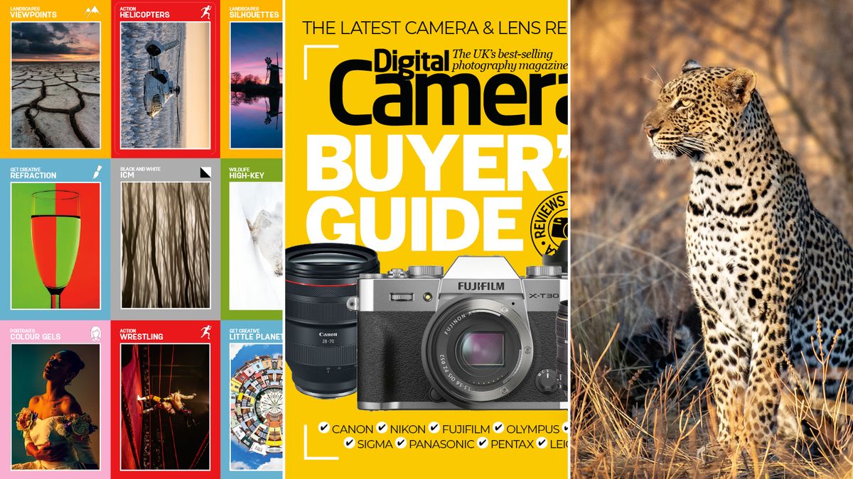 Digital Camera issue 252