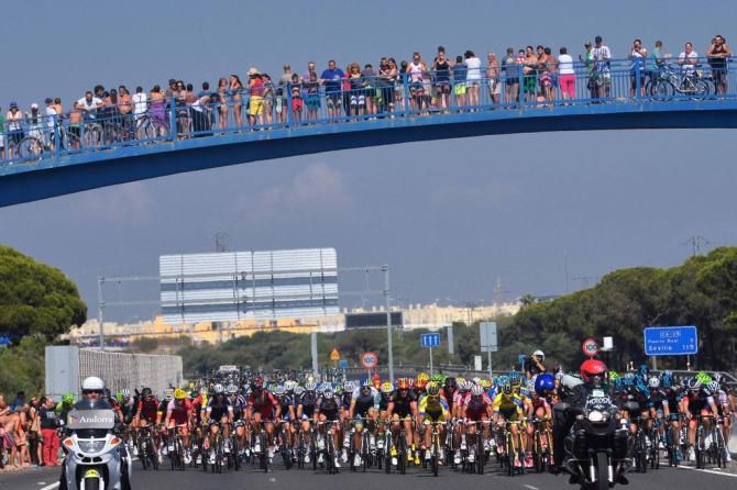Plenty of fans came out to watch the race today