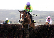 kauto-star.jpg