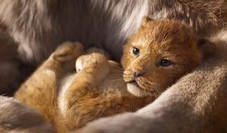 The Lion King baby Simba in his mother's arms