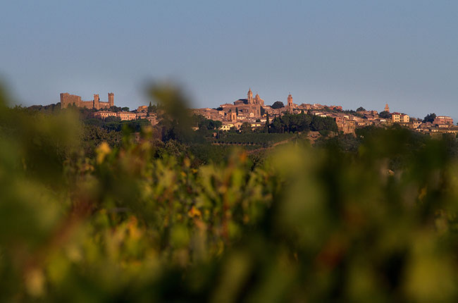 Manachiara vineyards, Montalcino wines