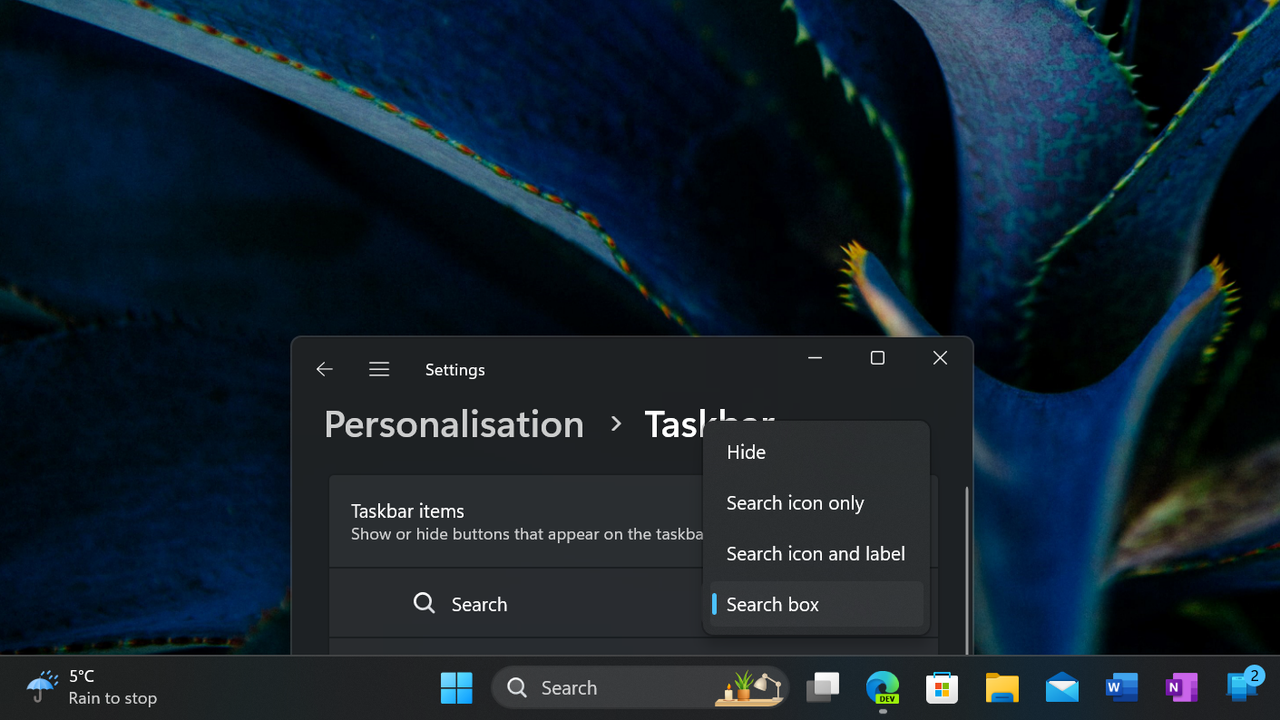 Windows 11 search icon settings