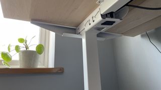 A shot of the underside of the Sway standing desk, with a plant in the background.