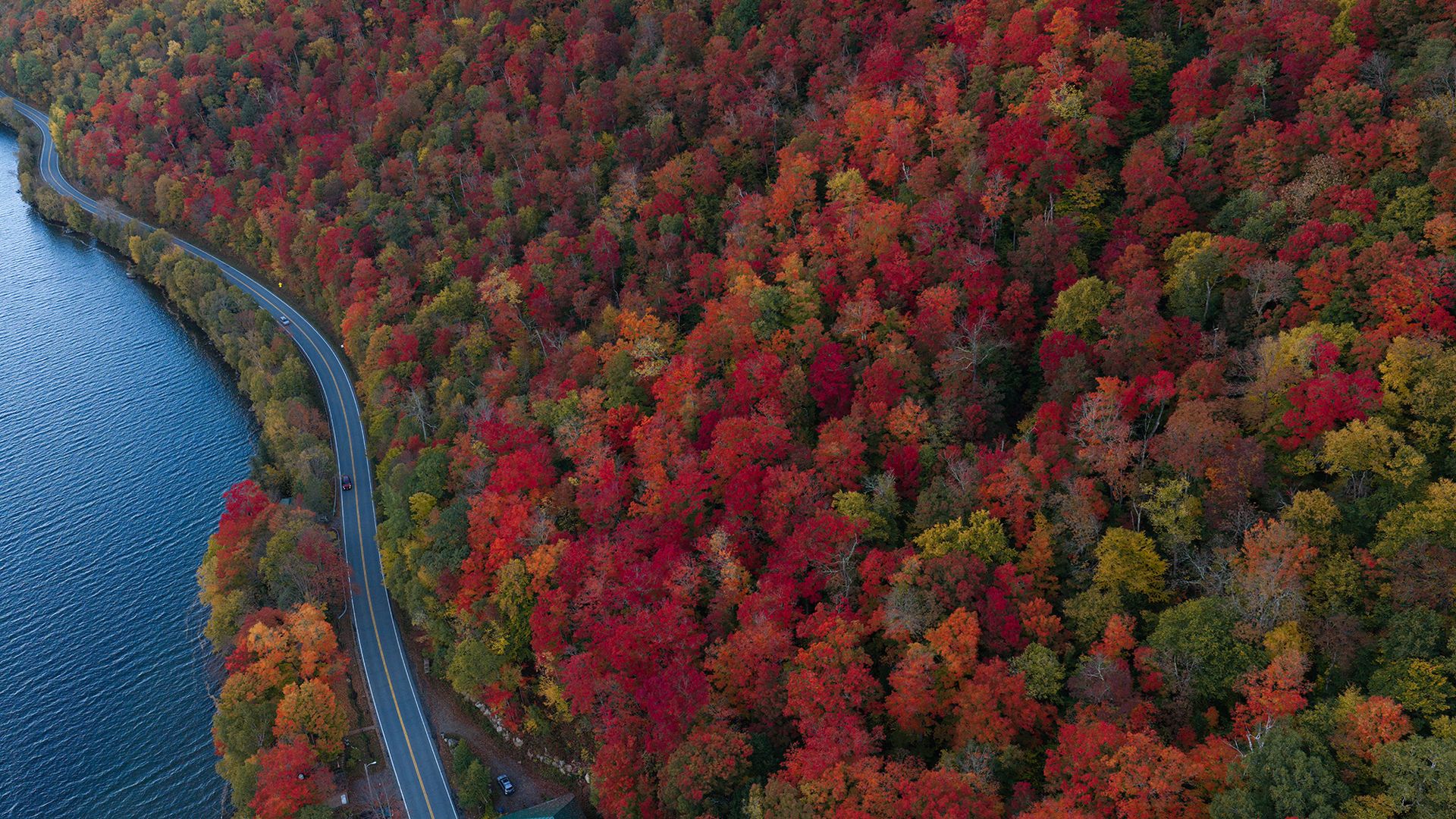 An aerial view shows vibrant fall foliage on the shore of Lake Willoughby in Vermont, United States
