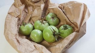 picture of green tomatoes in paper bag