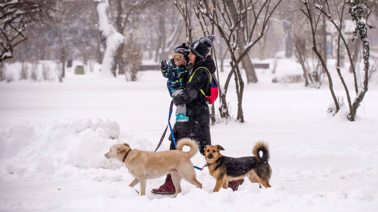 Snow Bulgaria
