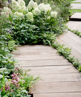 timber decking used as a pathway through a garden with white hydrangeas in the background