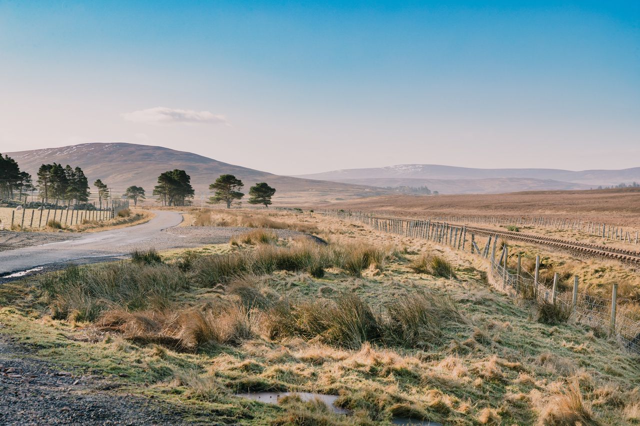 The Flow Country&#039;s unmistakeable landscape.