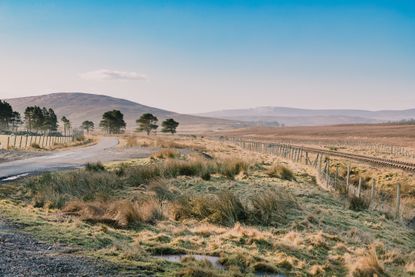 The Flow Country's unmistakeable landscape.
