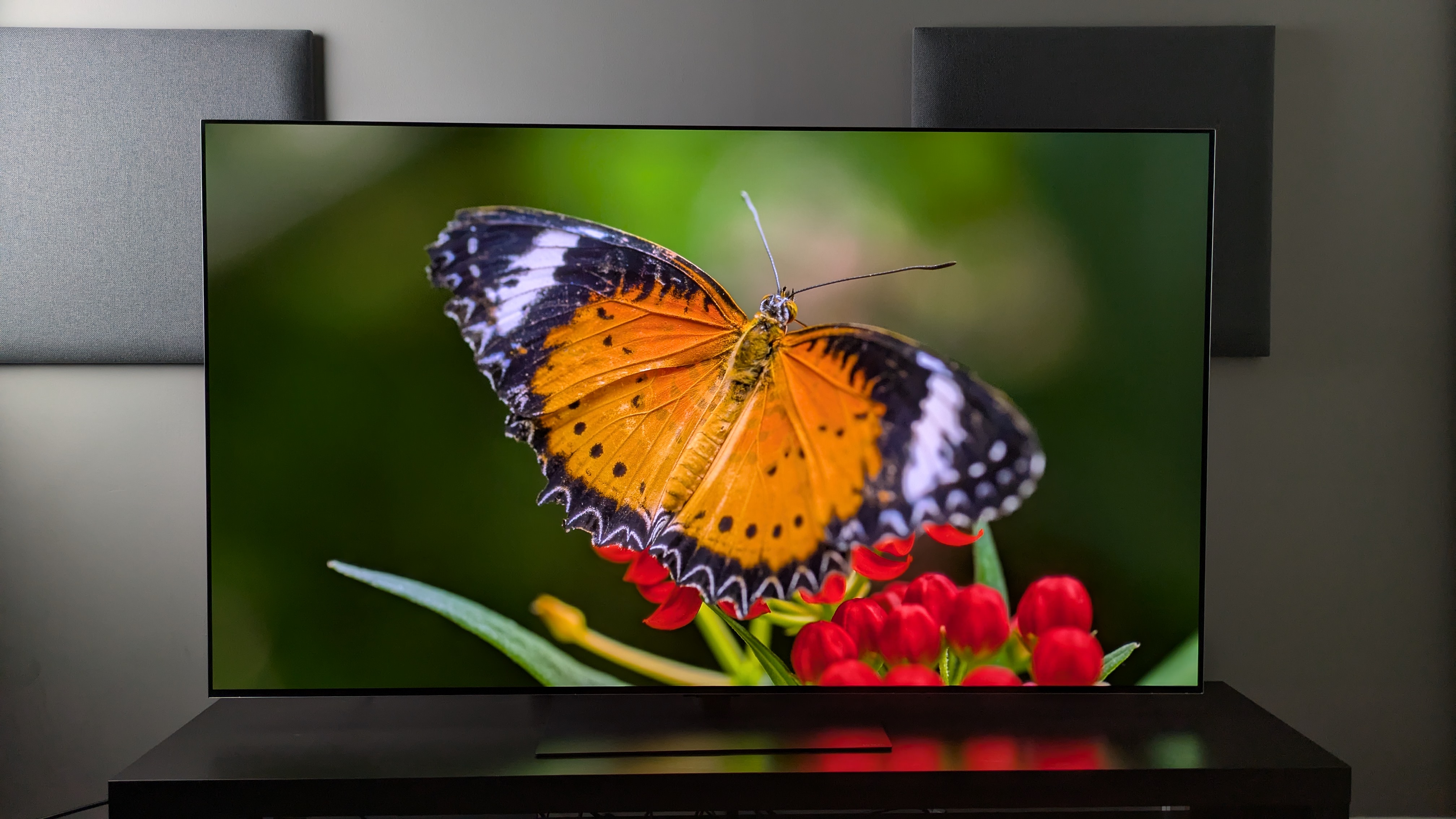LG G6 OLED TV showing orange butterfly on screen. Shows the G6's superb colors with natural yet vibrant oranges and reds