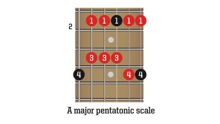 Scale