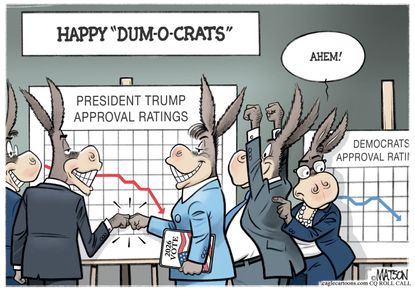 Political Cartoon