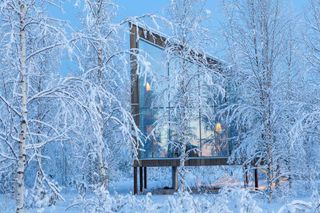 lodge in a middle of snow filled trees