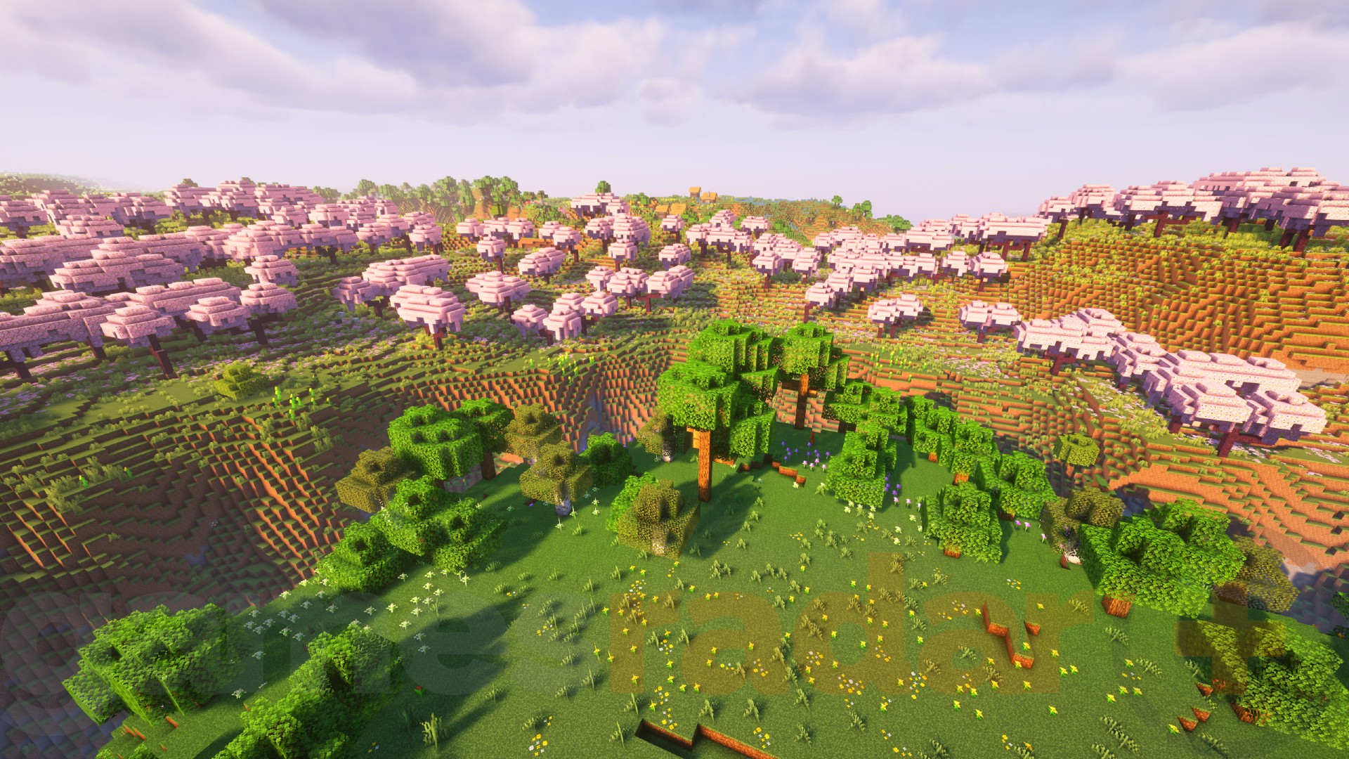 Two Minecraft biomes, the Cherry Grove and Plains, side by side.