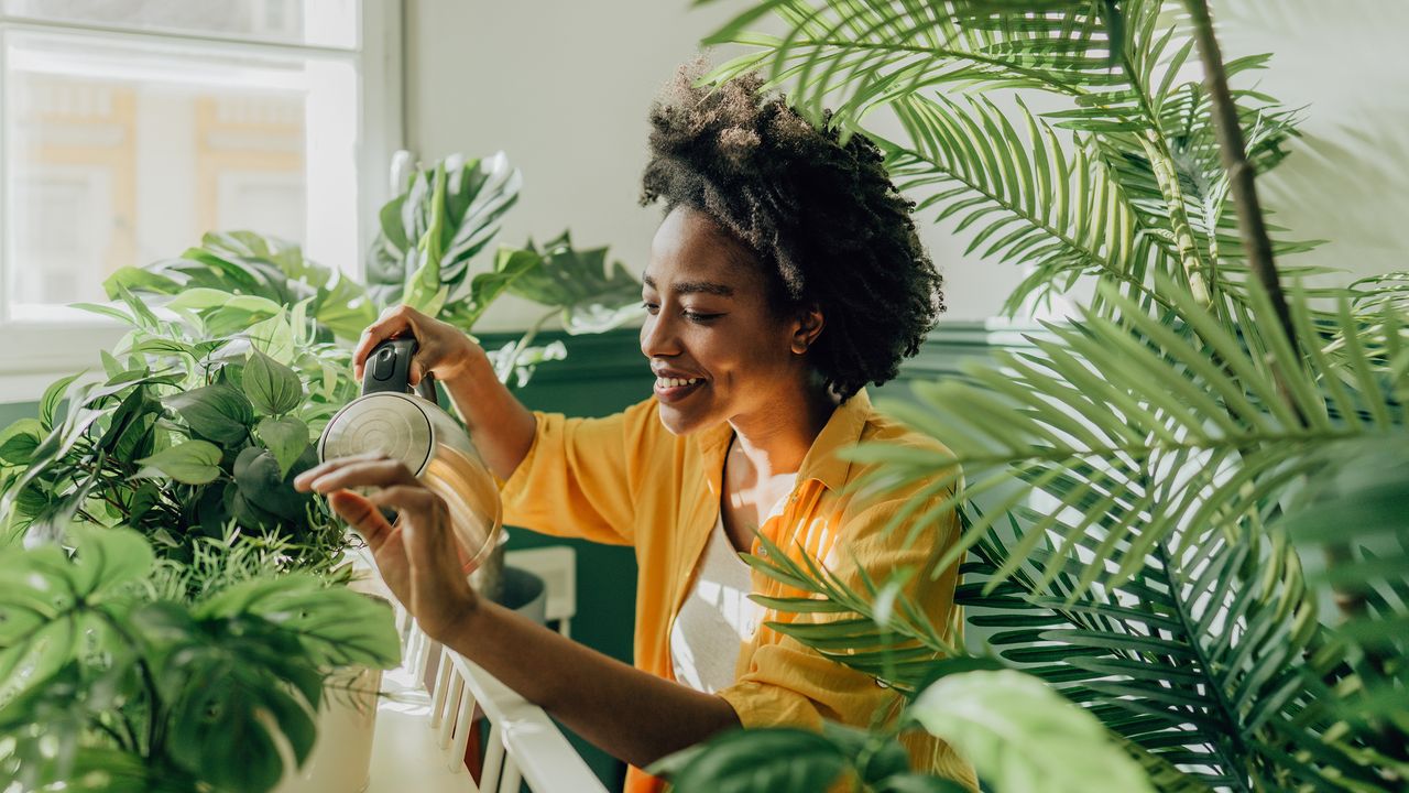 Woman waters houseplants