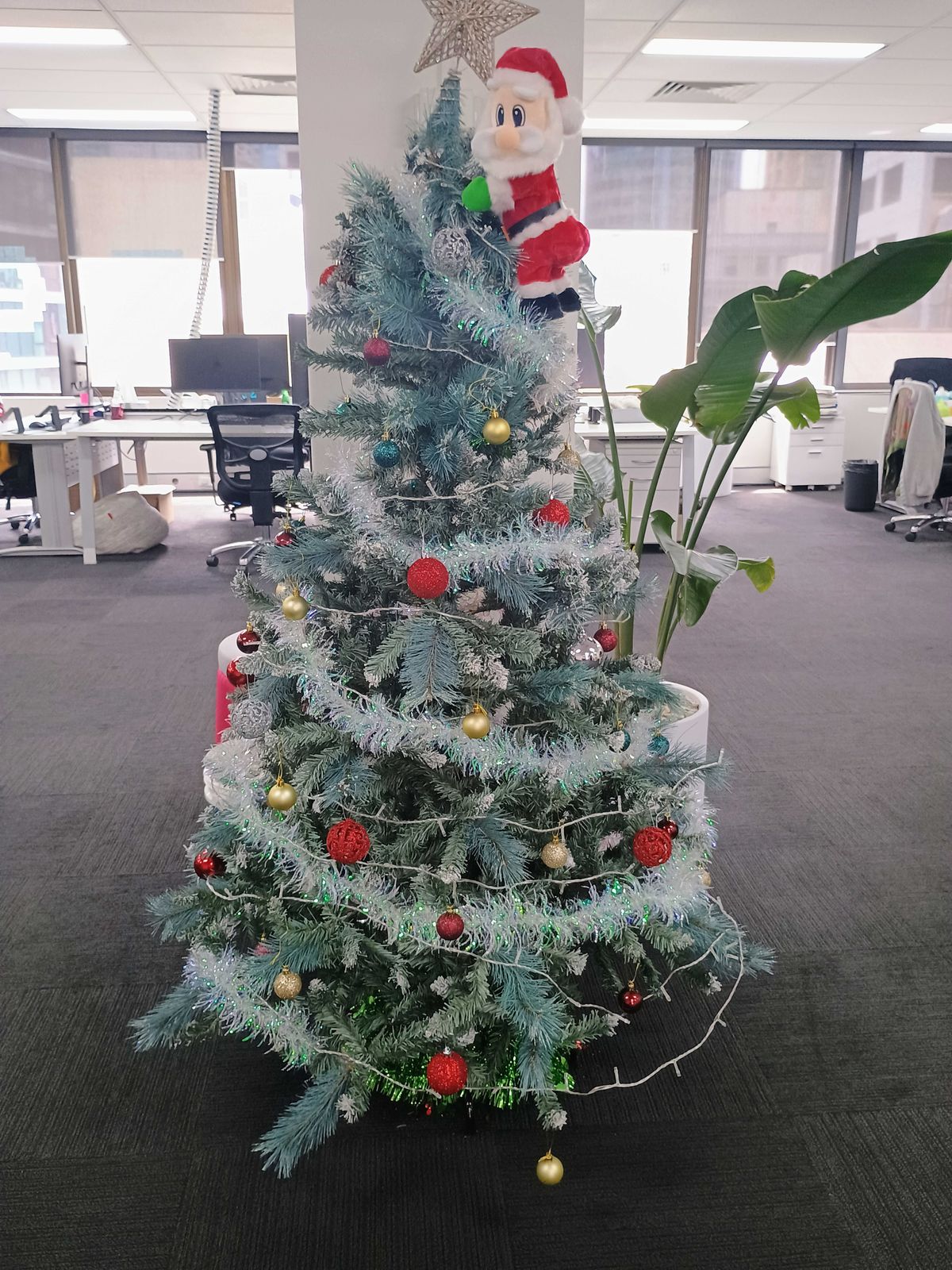 Picture of christmas tree taken with Moto G54 5G