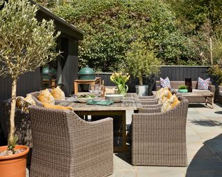 rattan furniture on outdoor living space with potted olive trees
