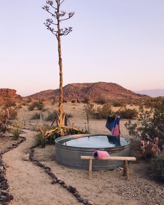 stock tank pool in a desert garden