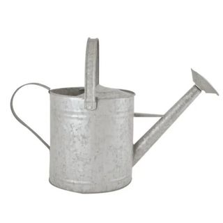 Fallen Fruits 6.6 Litre Old Zinc Watering Can