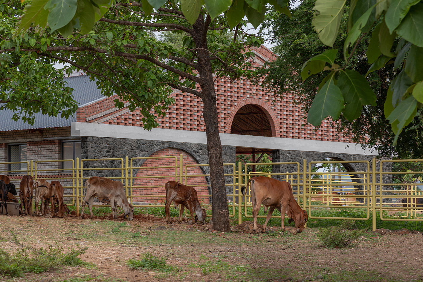 Gaugram , a cow shelter with pitched roofs and brick structure