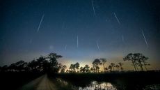 A long exposure shot of a meteor shower over a landscape with a pond and trees